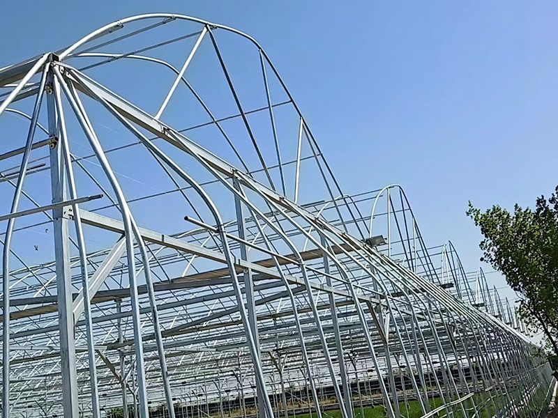 2023年烏茲別克斯坦工地